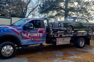 Light Duty Towing in Marydel Maryland